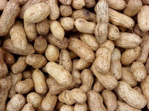 Shelled Groundnuts