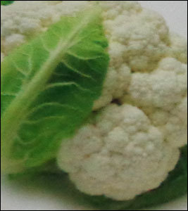 Canned Cut Cauliflower