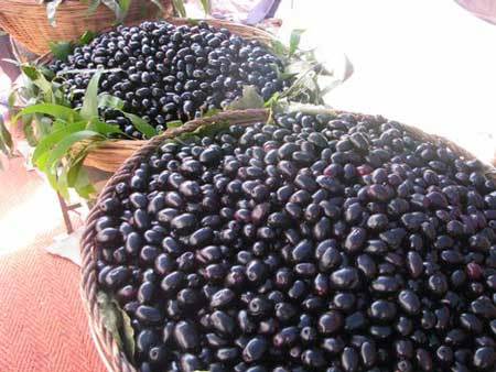 Jamun Honey