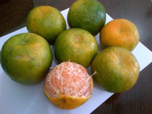 Fresh Orange - Juicy Flavor and Nutritional Excellence | Affordable International Supply