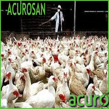 Acurosan Pd 