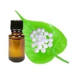 Camphor Essential Oil