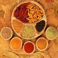 Indian Spices