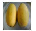 Dasheri Mangoes