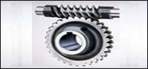 Worm Gear And Worm Shaft