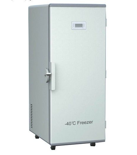 40 Degree Upright Deep Freezer