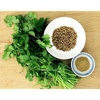 Coriander Seeds