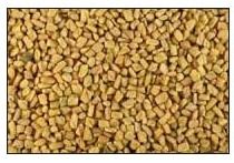 Fenugreek Seeds