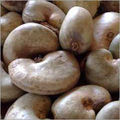 Raw Cashew Nuts