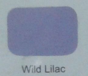 Wild Lilac Enamel Paint