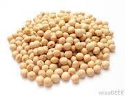 Healthy Soyabean Seeds