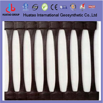 Glassfiber Biaxial Geogrid