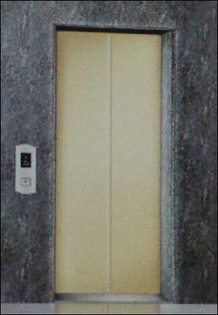 Ms Automatic Elevator Door Panels