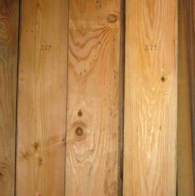 Pine Wood - Premium Quality Timber | Versatile Use Across Various Sectors