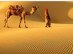 Rajasthan Travel Packages By India Scenic Holidays