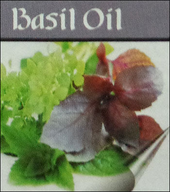 Holy Basil Plant Oil