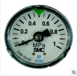 G36/G46/G44 Back Mounting, Screw Type Pressure Gauge