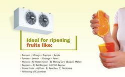 Fruit Ripening Machine