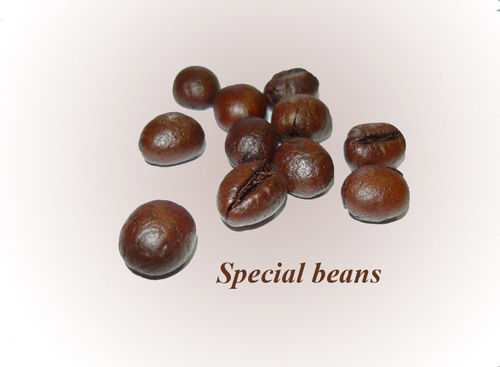 Roasted Coffee Beans (CULI)