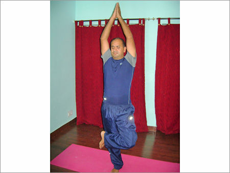 Yoga Therapy Services By SETYOGA Pvt. Ltd.