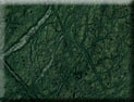 Forest Green Marble
