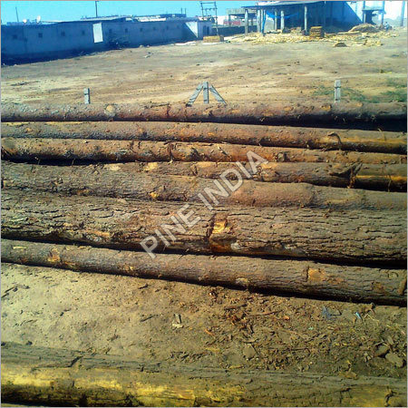 German Pine Logs