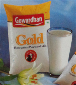 Gold Milk - High Quality Herbal Blend | Ethically Processed, Client-Centric Transparency