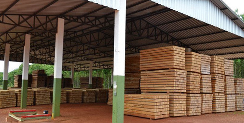 Swan Timber