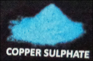 Copper Sulphate 