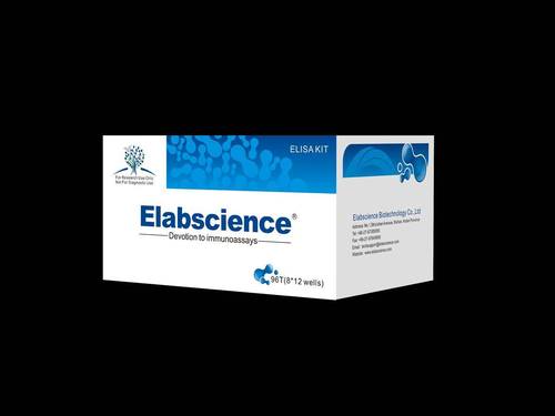 Human EL (EuglobulinLysis) ELISA Kit