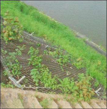 Steel Wire Mesh For Stabilizes Riverbanks