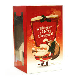 Christmas Cards Printing Service By Bell Printers Pvt. Ltd.