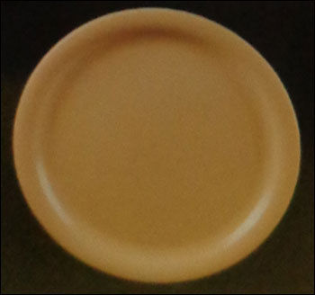Classic Brown Plastic Plate