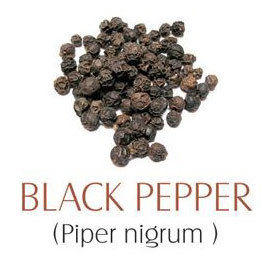 Black Pepper Seeds