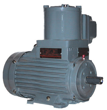 Flame Proof Ac Motors