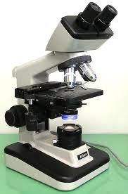 Binocular Microscope