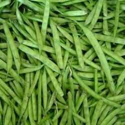 Cluster Beans - Fresh, High-Quality Guar Gum Variety | Ideal for Dairy Products, Ice Cream Stabilization