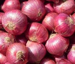 Fresh Red Onions