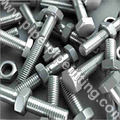 KALLETTUMKARA Stainless Steel Bolts