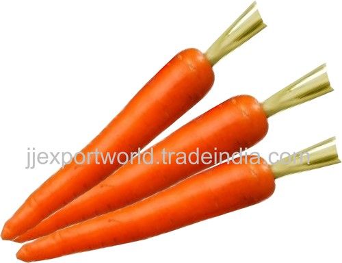 Carrot - 100% Natural Health Boosting Power | Improves Blood Vitamin B12 Levels, Strengthens Immune System, Prevents Stroke, Ideal for Vegetarian Diets, Beneficial During Pregnancy