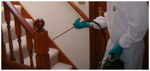 Pest Management Services