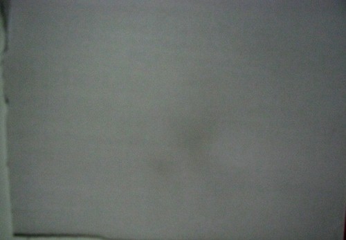 Kalpataru Cotton Fabric