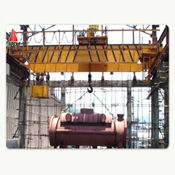 Industrial EOT Crane (IEC-02)