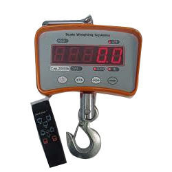 Crane Weighing Systems