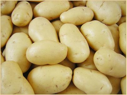 Fresh Potatoes