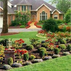 Lawn Designing And Development Service