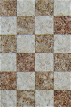 Vitrified Wall And Floor Tiles (1011-Hl-1)