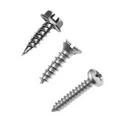 Self Tapping Screw