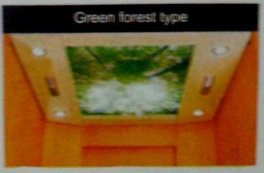 Elevator False Ceilings (Green Forest Type)