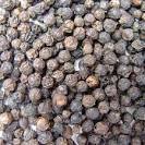 Pure Black Pepper